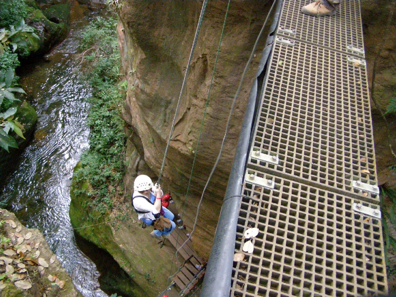 Doris
                Repelling