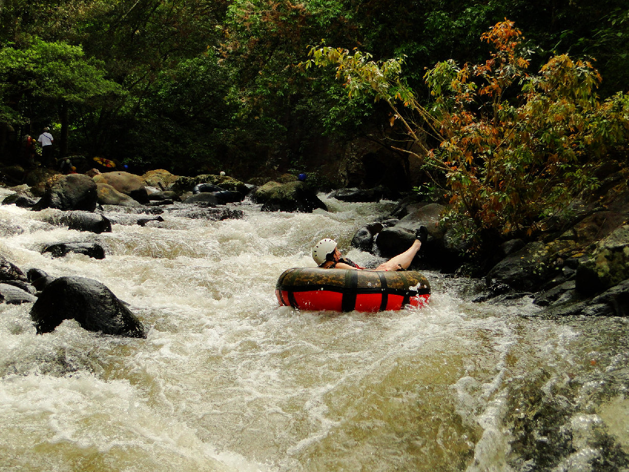 Doris First Rapid