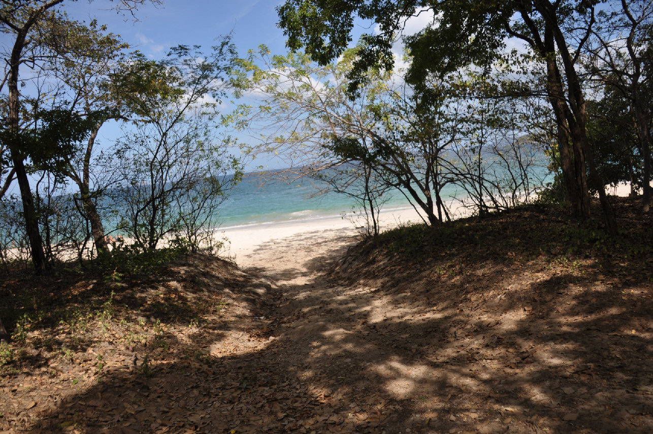 Road to the
                Beach